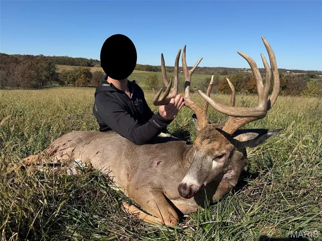 $1,149,400 | 0 Highway D - Tract 4 (82.1 /- Acres) Eolia Mo 63344, Eolia, MO 63344