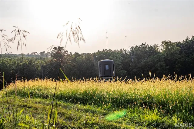 $1,149,400 | 0 Highway D - Tract 4 (82.1 /- Acres) Eolia Mo 63344, Eolia, MO 63344