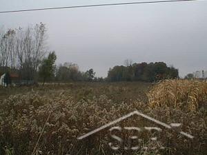 East Townline Road Birch Run, MI 48415 - Photo 1 of 1 20076882.JPG