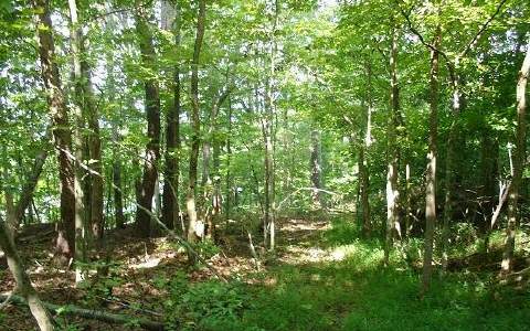 Doublehead Gap Road Ellijay, GA 30536 - Photo 1 of 1 Main View