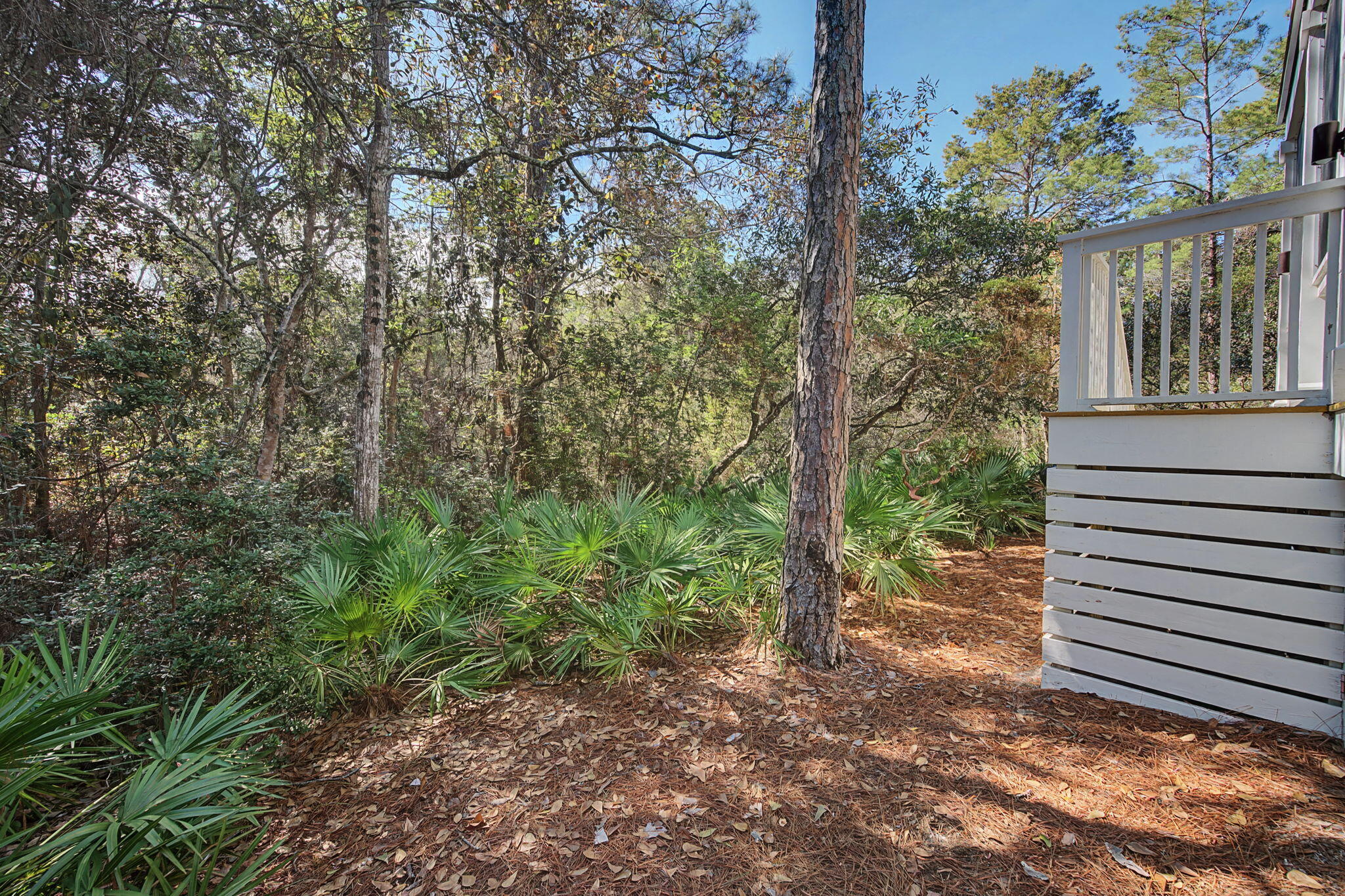 111 Hammock Lane Santa Rosa Beach, FL 32459 - Photo 14 of 56 111 Hammock Lane Outdoors