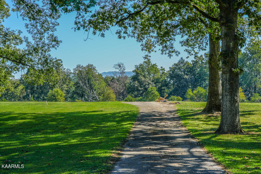 233 Myers Road Townsend, TN 37882 - Photo 12 of 38 DSC05690