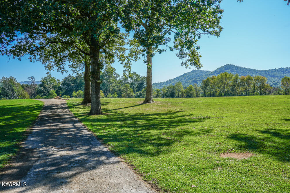 233 Myers Road Townsend, TN 37882 - Photo 13 of 38 DSC05689