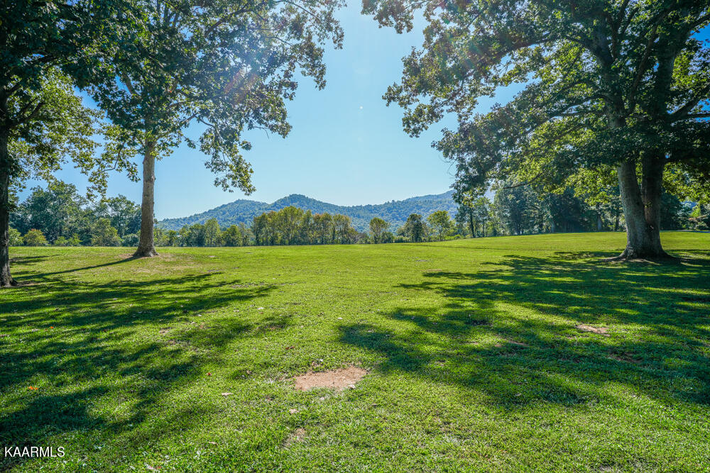 233 Myers Road Townsend, TN 37882 - Photo 14 of 38 DSC05653