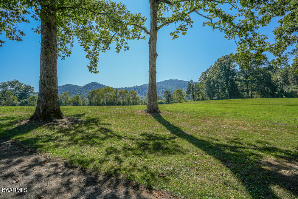 233 Myers Road Townsend, TN 37882 - Photo 19 of 38 DSC05656
