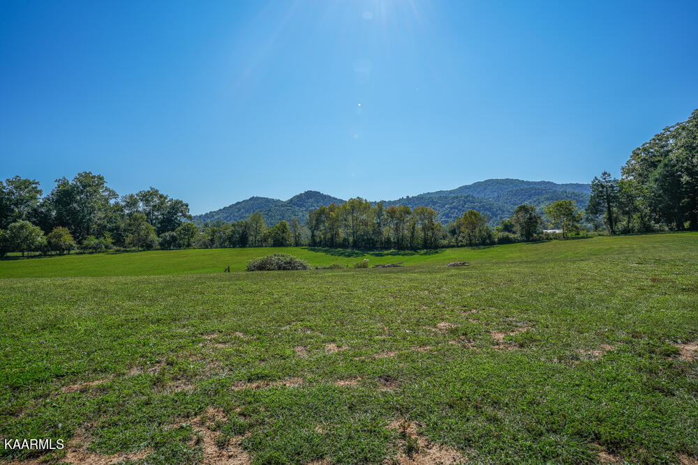 233 Myers Road Townsend, TN 37882 - Photo 20 of 38 DSC05657