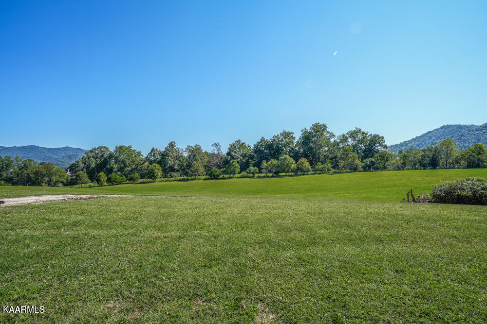 233 Myers Road Townsend, TN 37882 - Photo 21 of 38 DSC05658