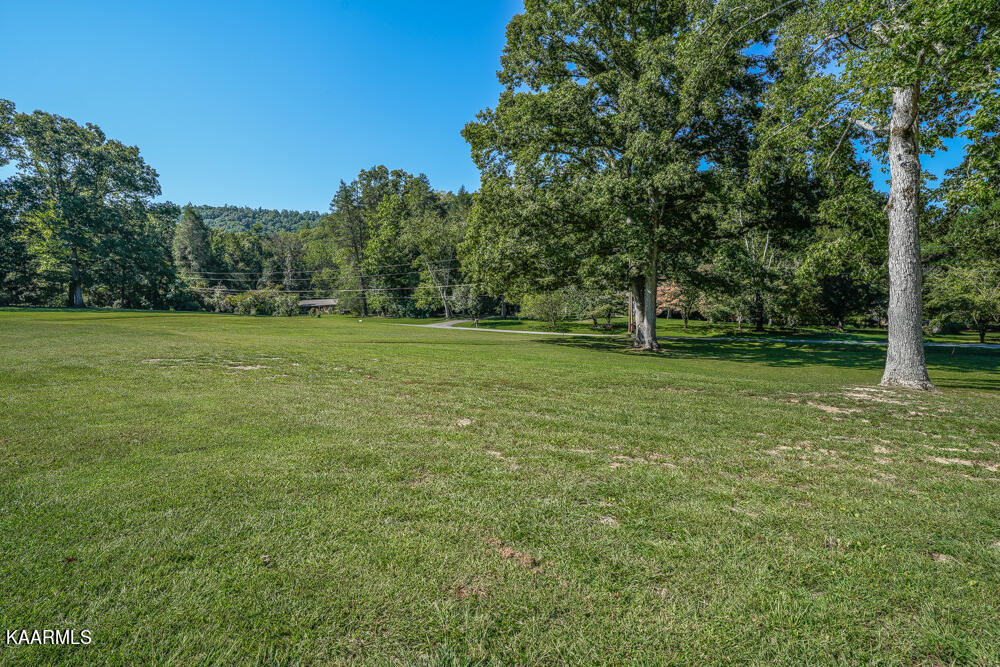 233 Myers Road Townsend, TN 37882 - Photo 23 of 38 DSC05660