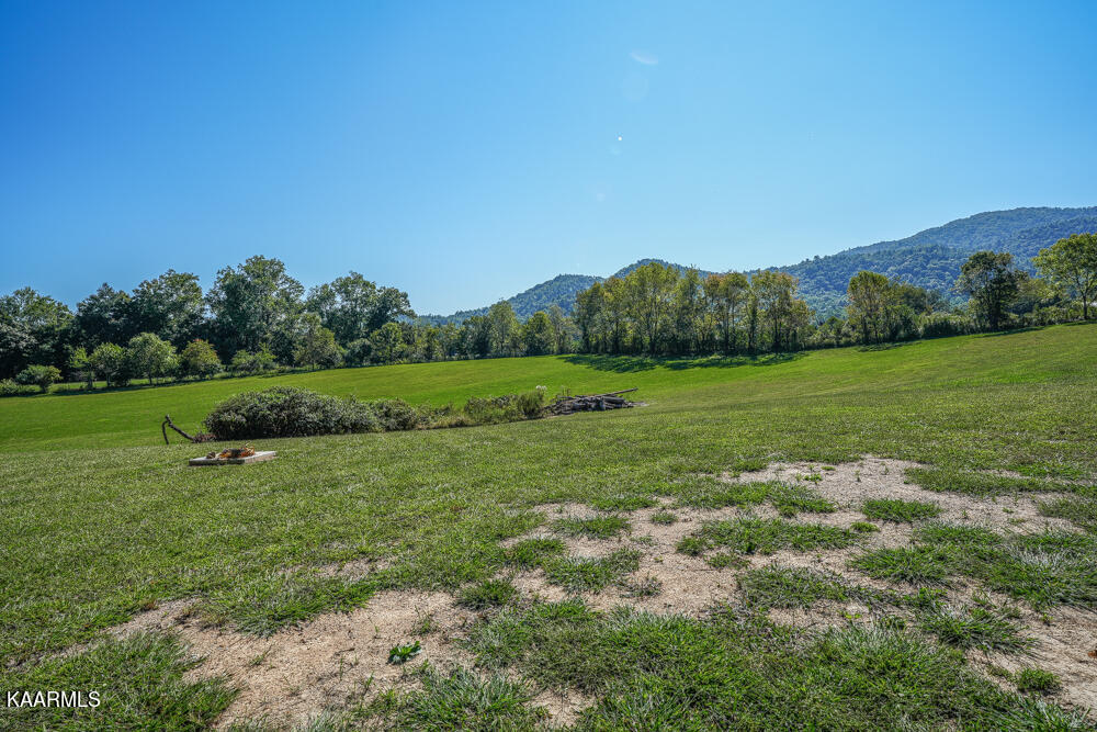 233 Myers Road Townsend, TN 37882 - Photo 24 of 38 DSC05661