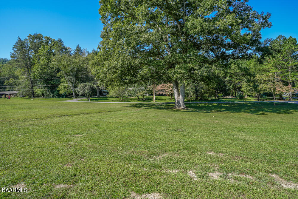 233 Myers Road Townsend, TN 37882 - Photo 27 of 38 DSC05664