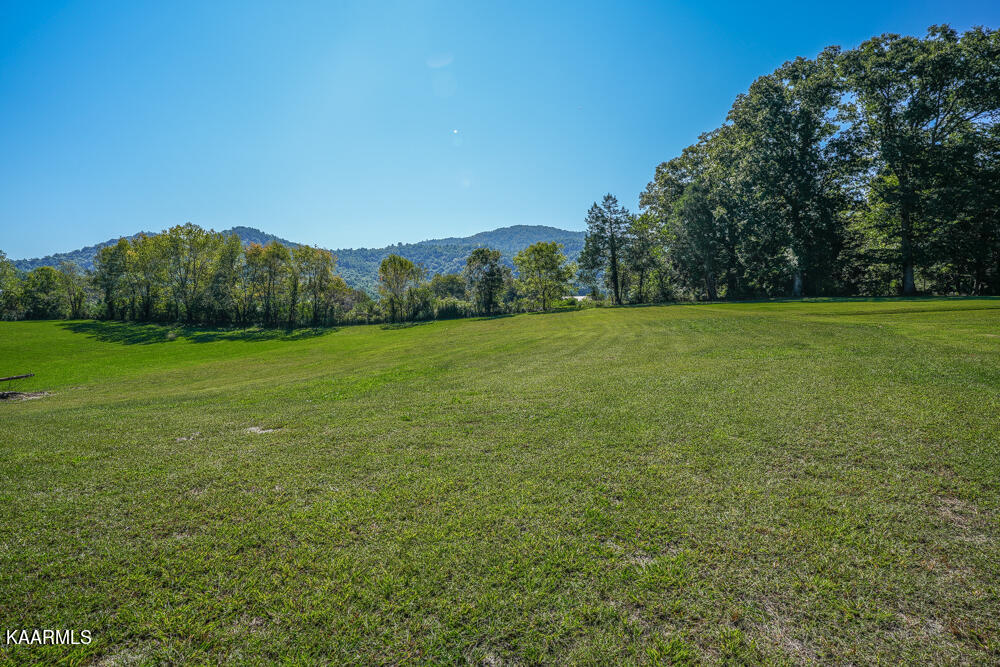 233 Myers Road Townsend, TN 37882 - Photo 28 of 38 DSC05665