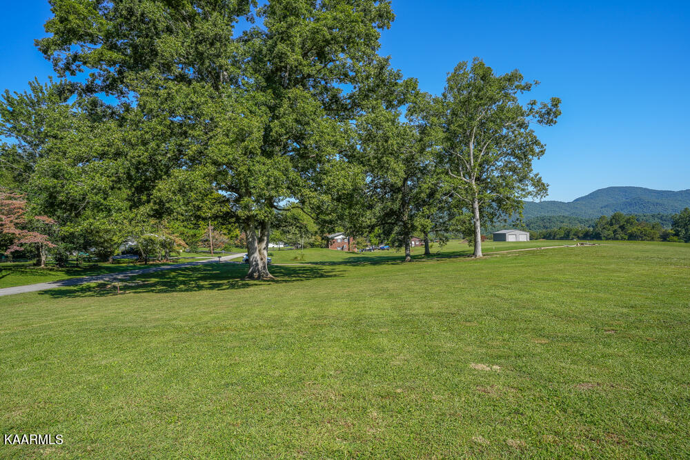 233 Myers Road Townsend, TN 37882 - Photo 29 of 38 DSC05671
