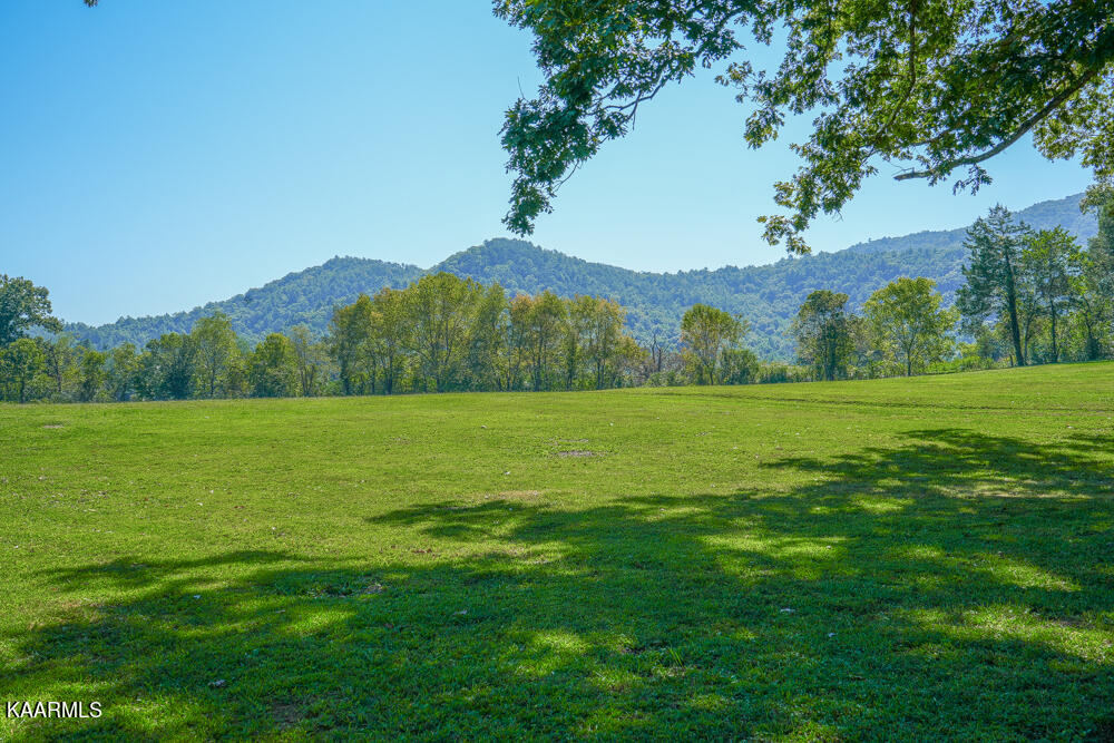 233 Myers Road Townsend, TN 37882 - Photo 32 of 38 DSC05688