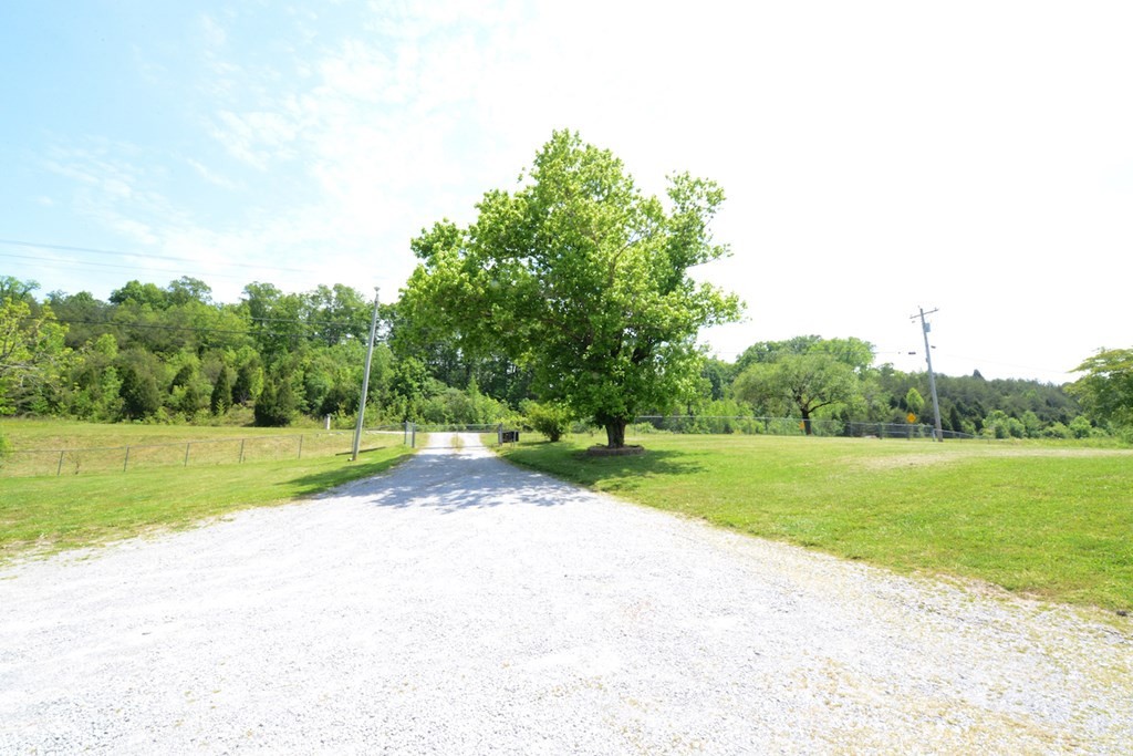27565 Rhea County Highway Spring City, TN 37381 - Photo 28 of 30 a view of a field and trees in the background