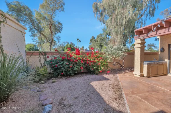 a view of a backyard with potted plants and large tree