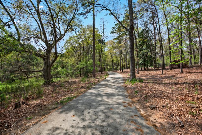 2916 Rambling Path Anderson, SC 29621 - Photo 4 of 48