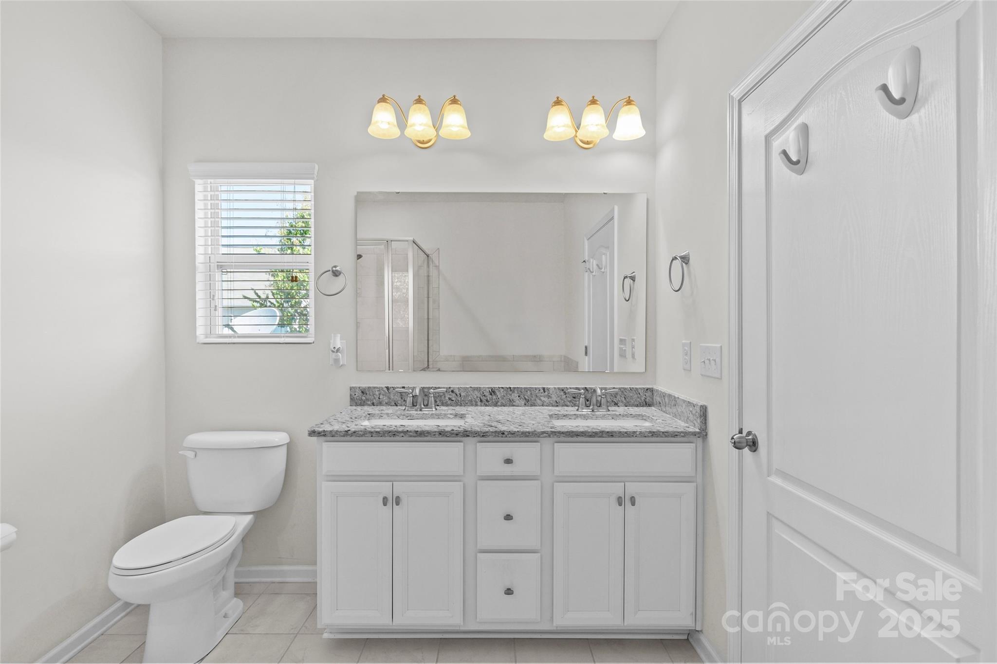 5828 Eleanor Rigby Road Charlotte, NC 28278 - Photo 27 of 39 a bathroom with a granite countertop toilet a sink a mirror and a window