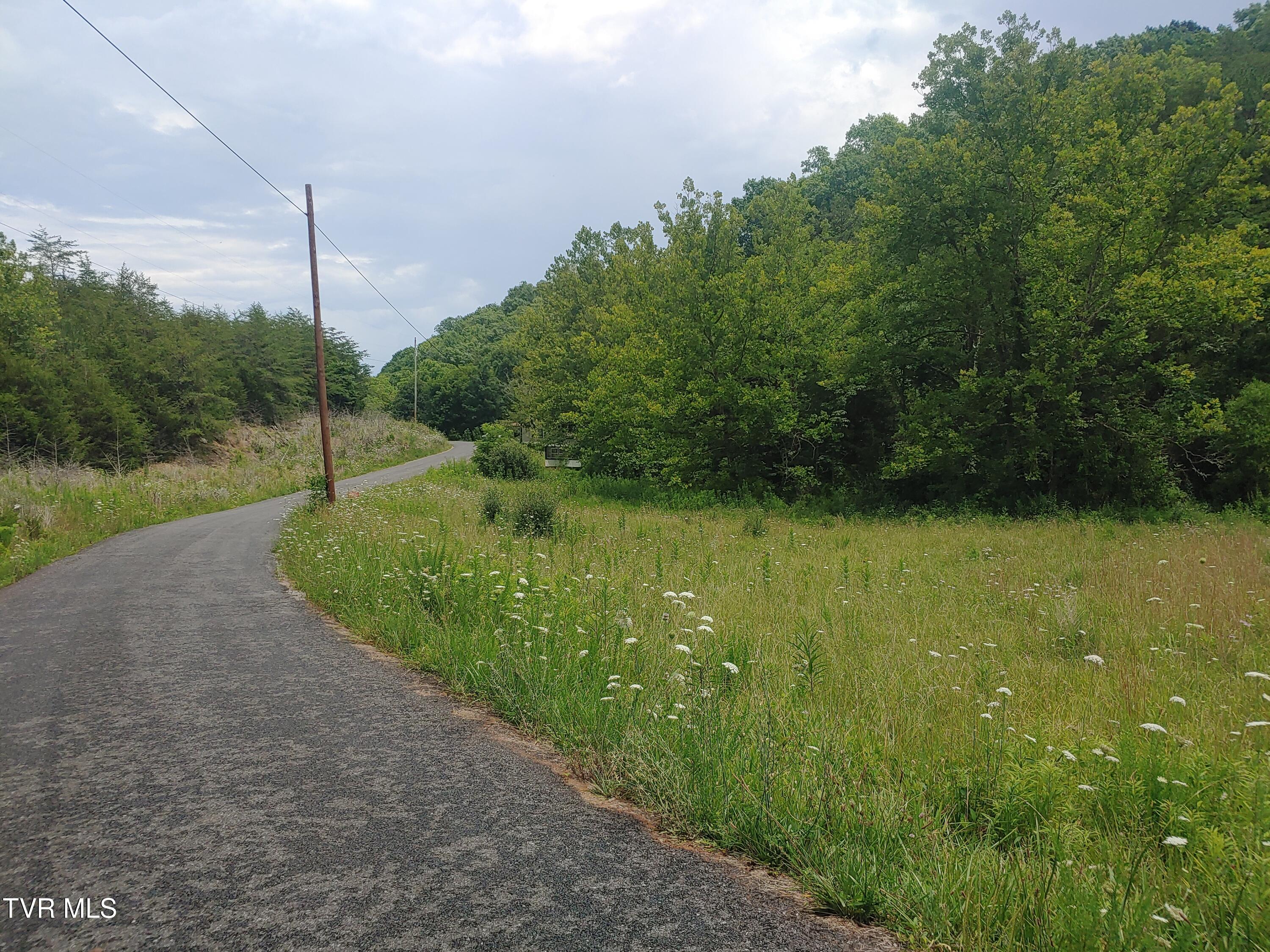 0 War Creek Road Eidson, TN 37731 - Photo 8 of 12 0705261414b