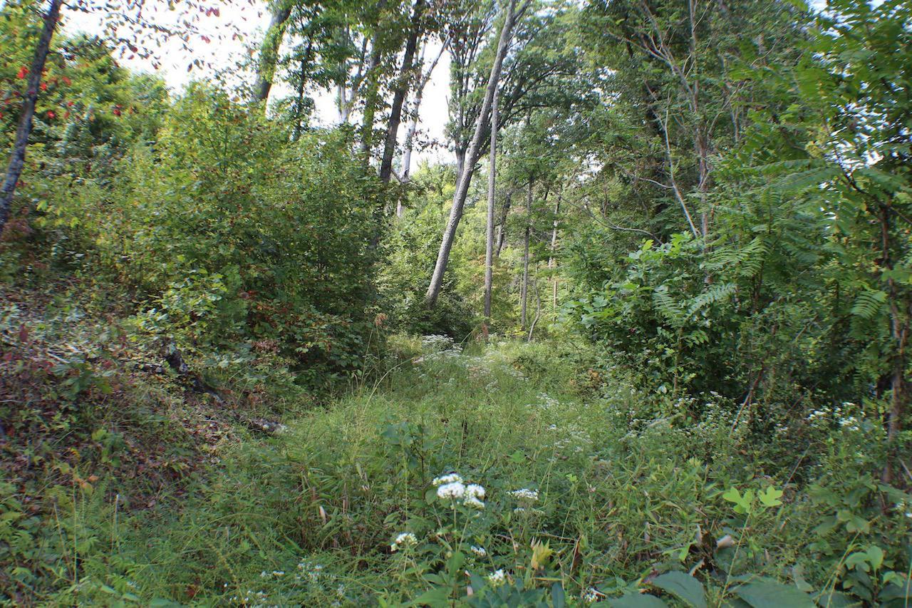 0 McCune Cemetery Road Jackson, OH 45640 - Photo 14 of 26
