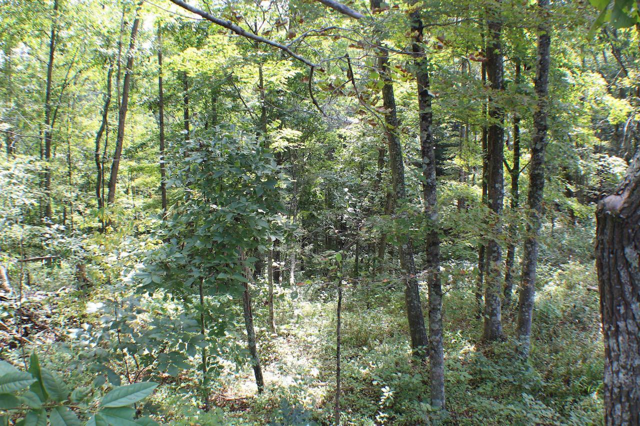 0 McCune Cemetery Road Jackson, OH 45640 - Photo 20 of 26