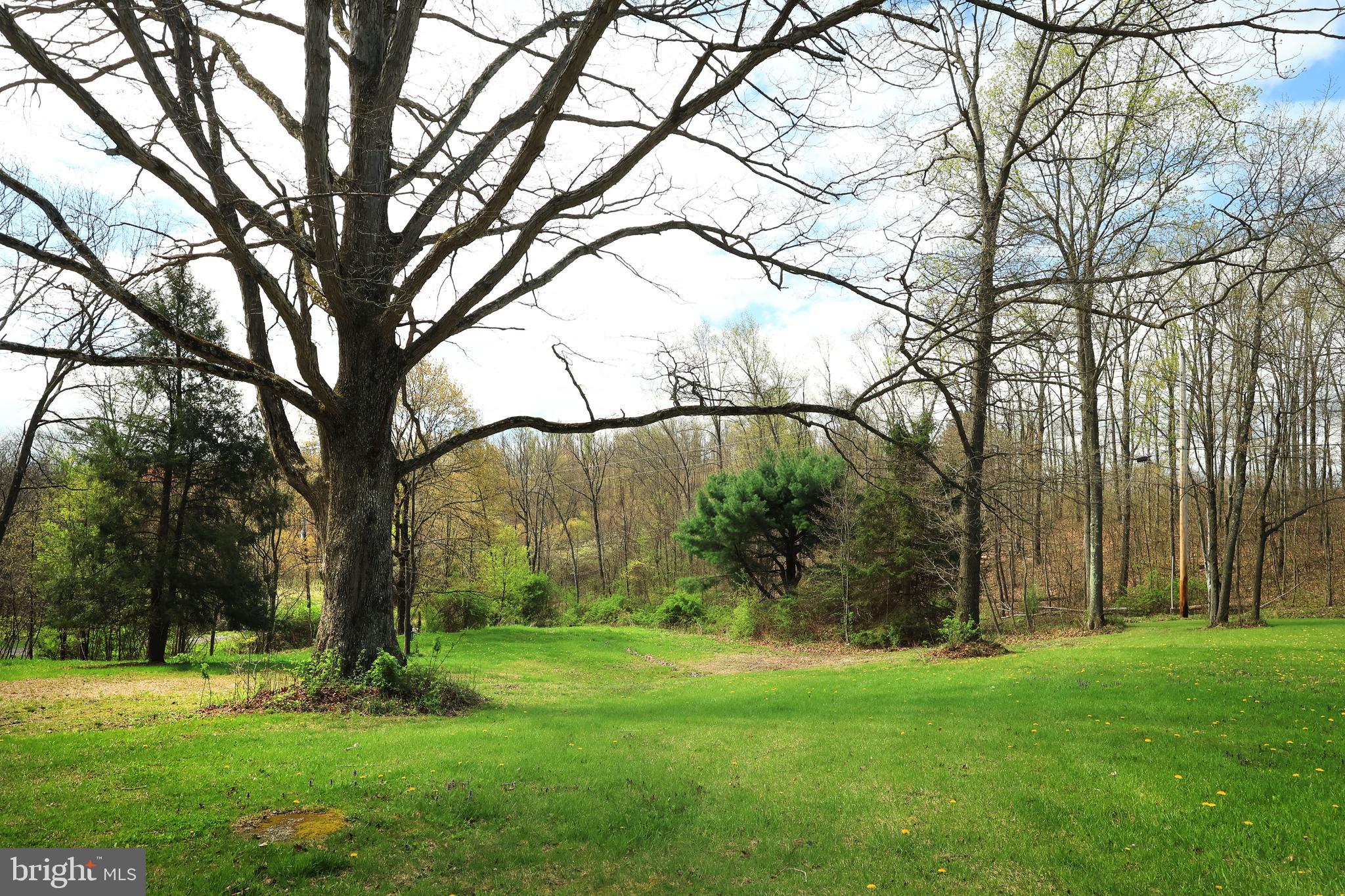 690 Gypsy Camp Hollow Road Tyrone, PA 16686 - Photo 30 of 39