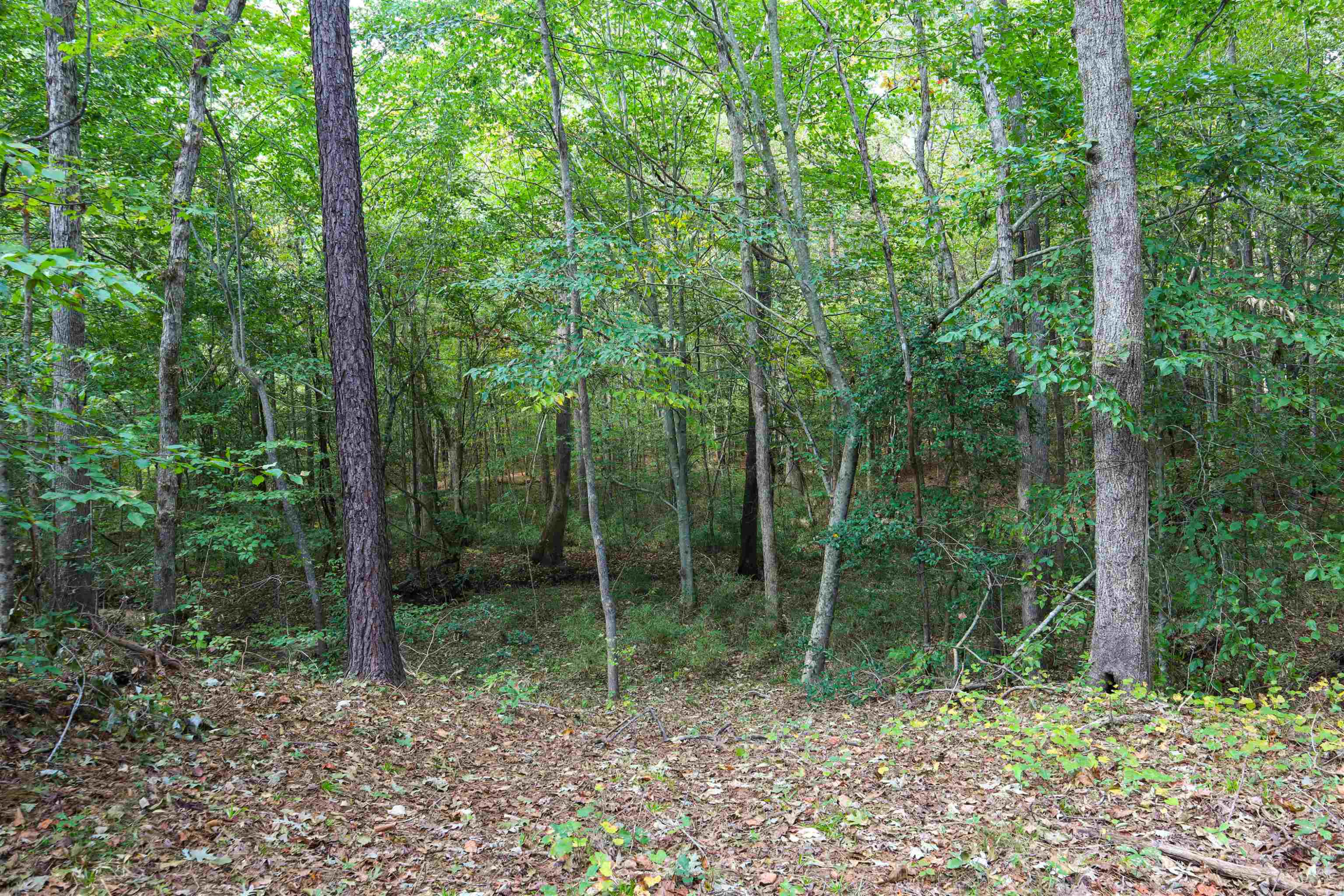 416 David Road Wendell, NC 27591 - Photo 12 of 15 Photo 12
