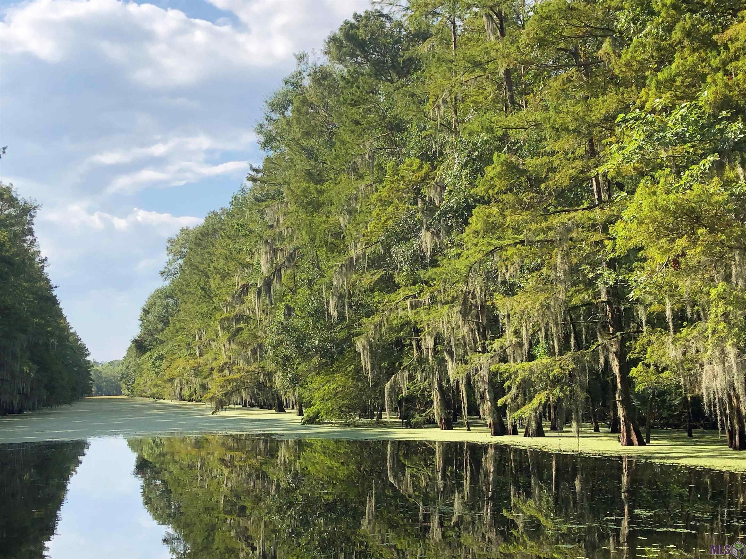 290 Bayou Tranquille Road Pierre Part, LA 70339 - Photo 24 of 30