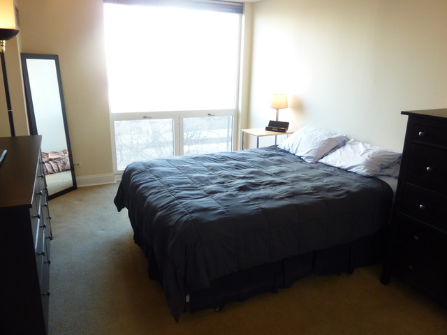 1250 North LaSalle Street, Unit 412 Chicago, IL 60610 - Photo 16 of 22