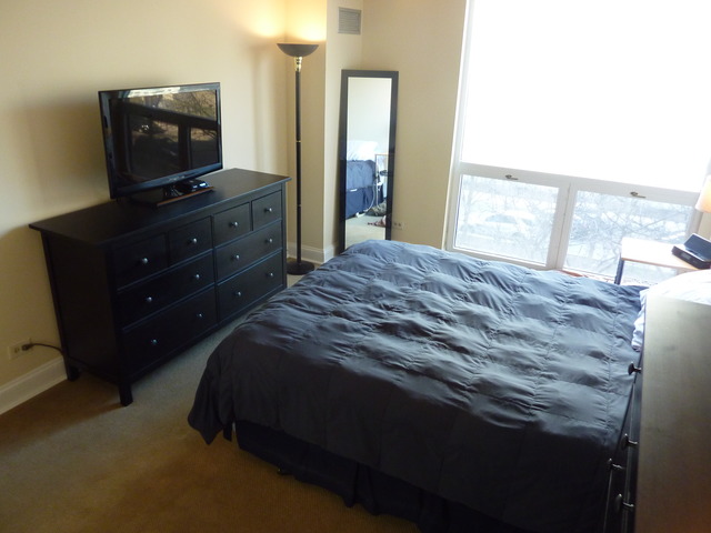 1250 North LaSalle Street, Unit 412 Chicago, IL 60610 - Photo 17 of 22