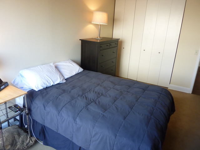 1250 North LaSalle Street, Unit 412 Chicago, IL 60610 - Photo 18 of 22