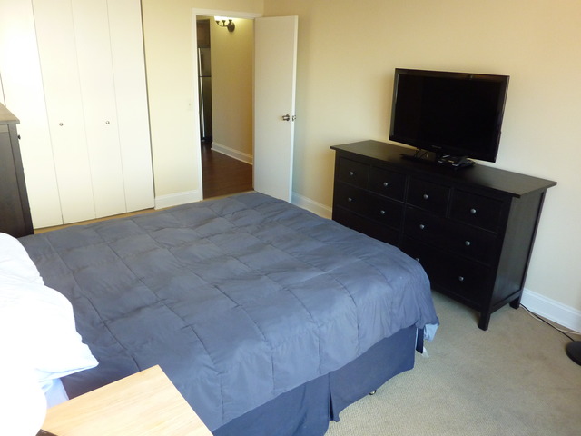 1250 North LaSalle Street, Unit 412 Chicago, IL 60610 - Photo 19 of 22