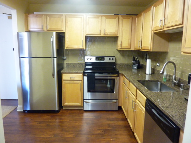 1250 North LaSalle Street, Unit 412 Chicago, IL 60610 - Photo 3 of 22