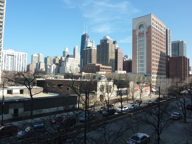 1250 North LaSalle Street, Unit 412 Chicago, IL 60610 - Photo 22 of 22