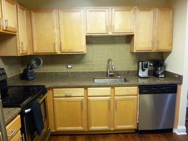 1250 North LaSalle Street, Unit 412 Chicago, IL 60610 - Photo 4 of 22