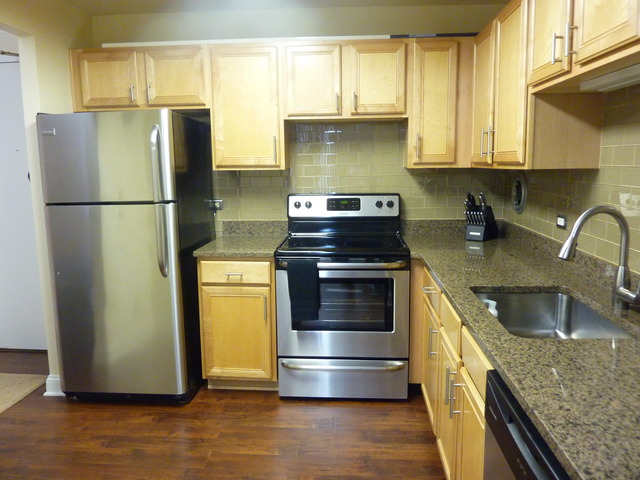 1250 North LaSalle Street, Unit 412 Chicago, IL 60610 - Photo 5 of 22