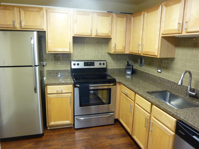 1250 North LaSalle Street, Unit 412 Chicago, IL 60610 - Photo 6 of 22