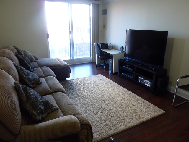 1250 North LaSalle Street, Unit 412 Chicago, IL 60610 - Photo 7 of 22