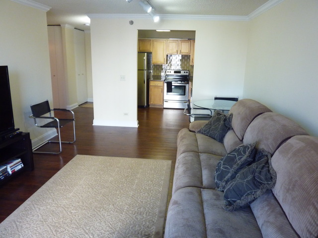 1250 North LaSalle Street, Unit 412 Chicago, IL 60610 - Photo 9 of 22