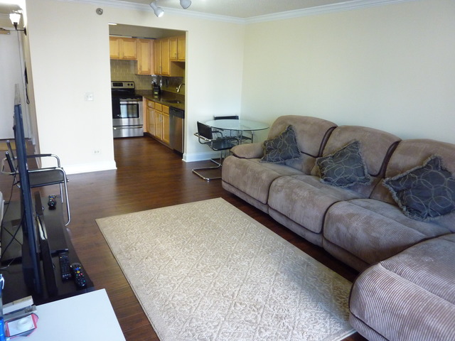 1250 North LaSalle Street, Unit 412 Chicago, IL 60610 - Photo 10 of 22