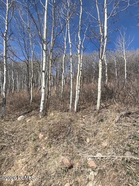 2604 South Forest Meadow Road Coalville, UT 84017 - Photo 12 of 28