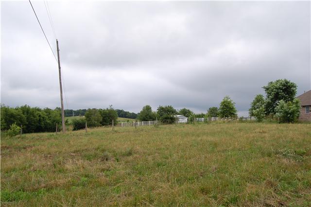 450 Rock Springs Road Castalian Springs, TN 37031 - Photo 18 of 20 Level to rolling land