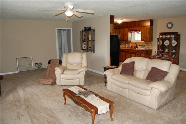 450 Rock Springs Road Castalian Springs, TN 37031 - Photo 4 of 20 Living room