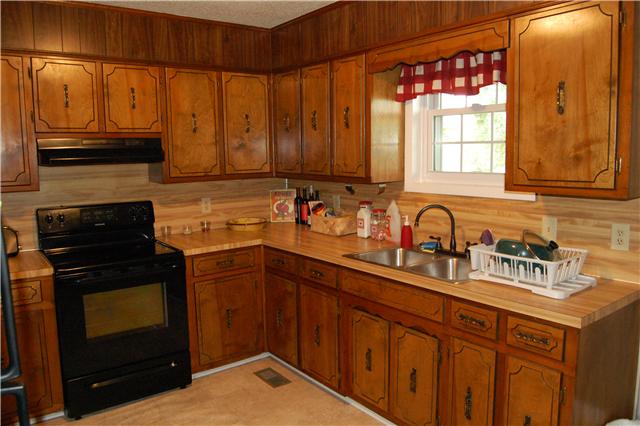 450 Rock Springs Road Castalian Springs, TN 37031 - Photo 6 of 20 Country kitchen with view of backyard
