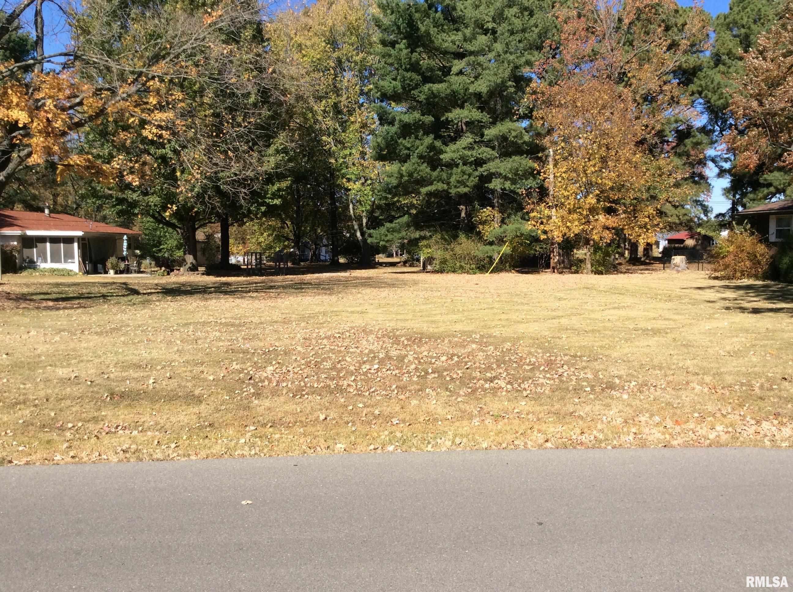 10 Homestead Drive Mount Vernon, IL 62864 - Photo 48 of 53