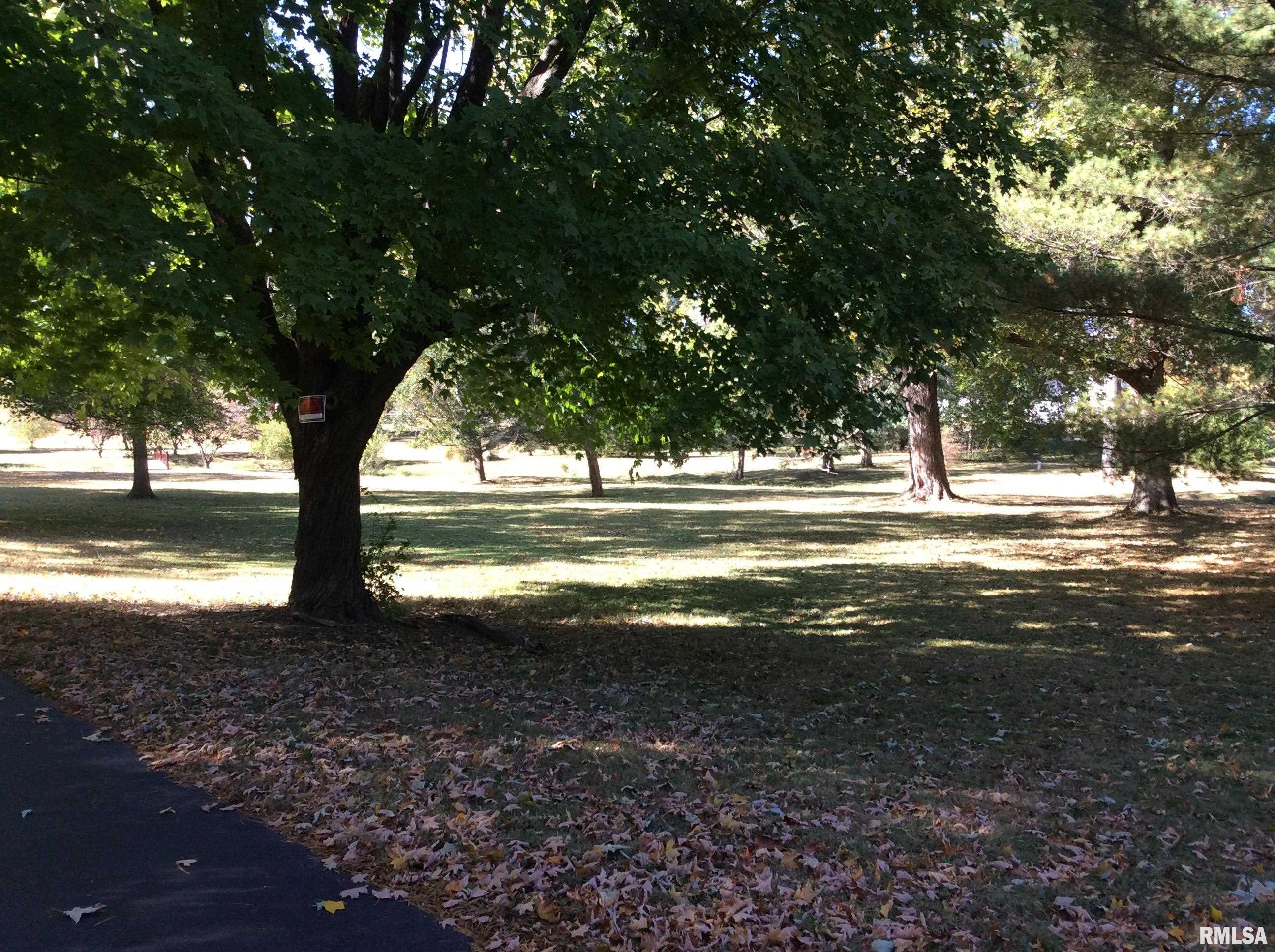 10 Homestead Drive Mount Vernon, IL 62864 - Photo 52 of 53