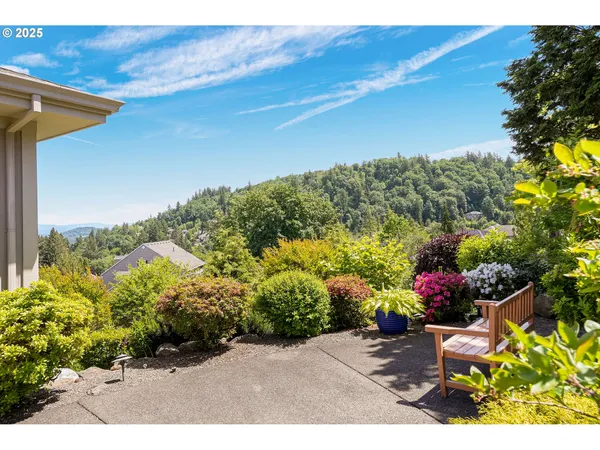 a view of a garden with a flower in a garden