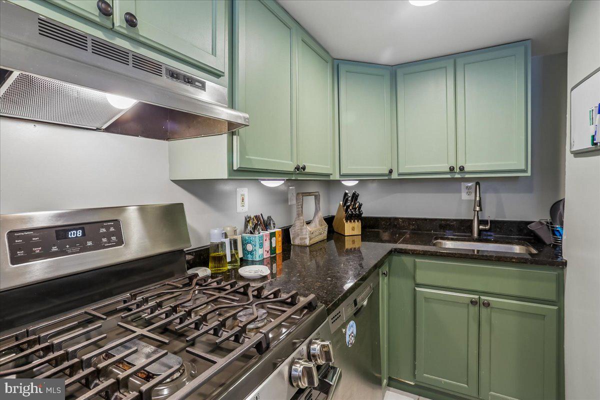 1437 Spring Road Northwest, Unit B1 Washington, DC 20010 - Photo 7 of 20 Kitchen