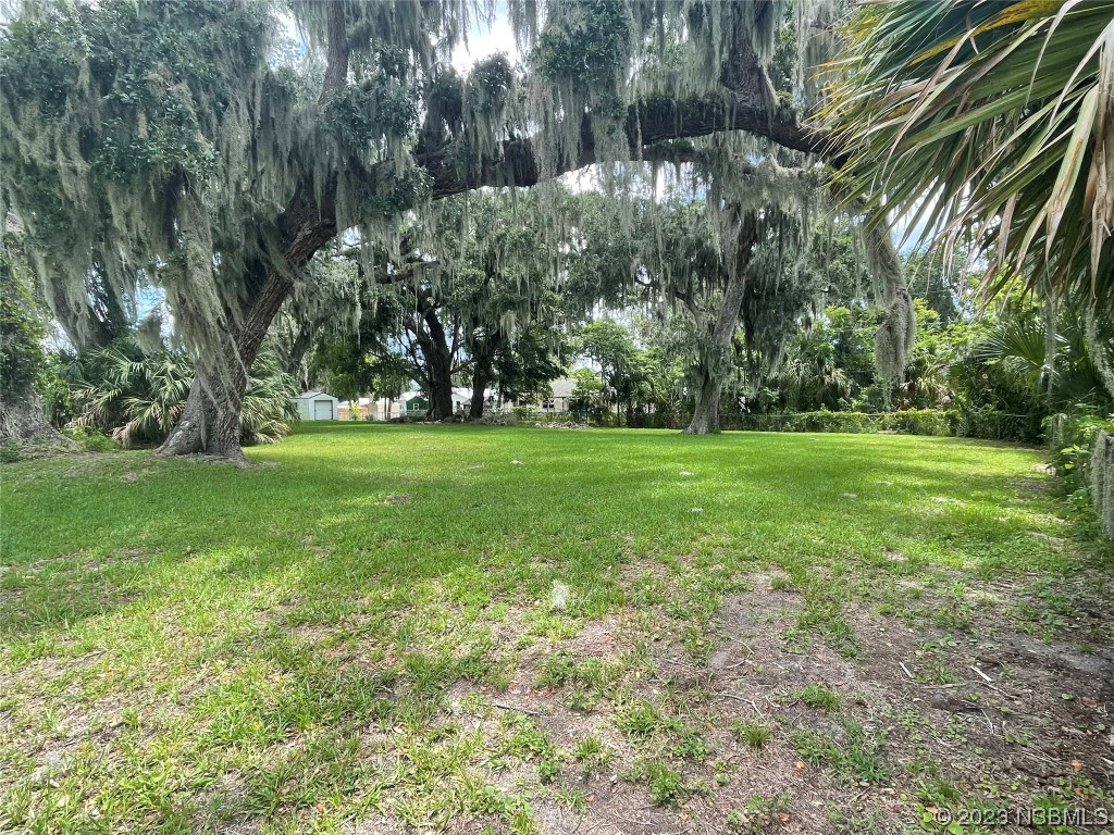 a view of a grassy field with trees