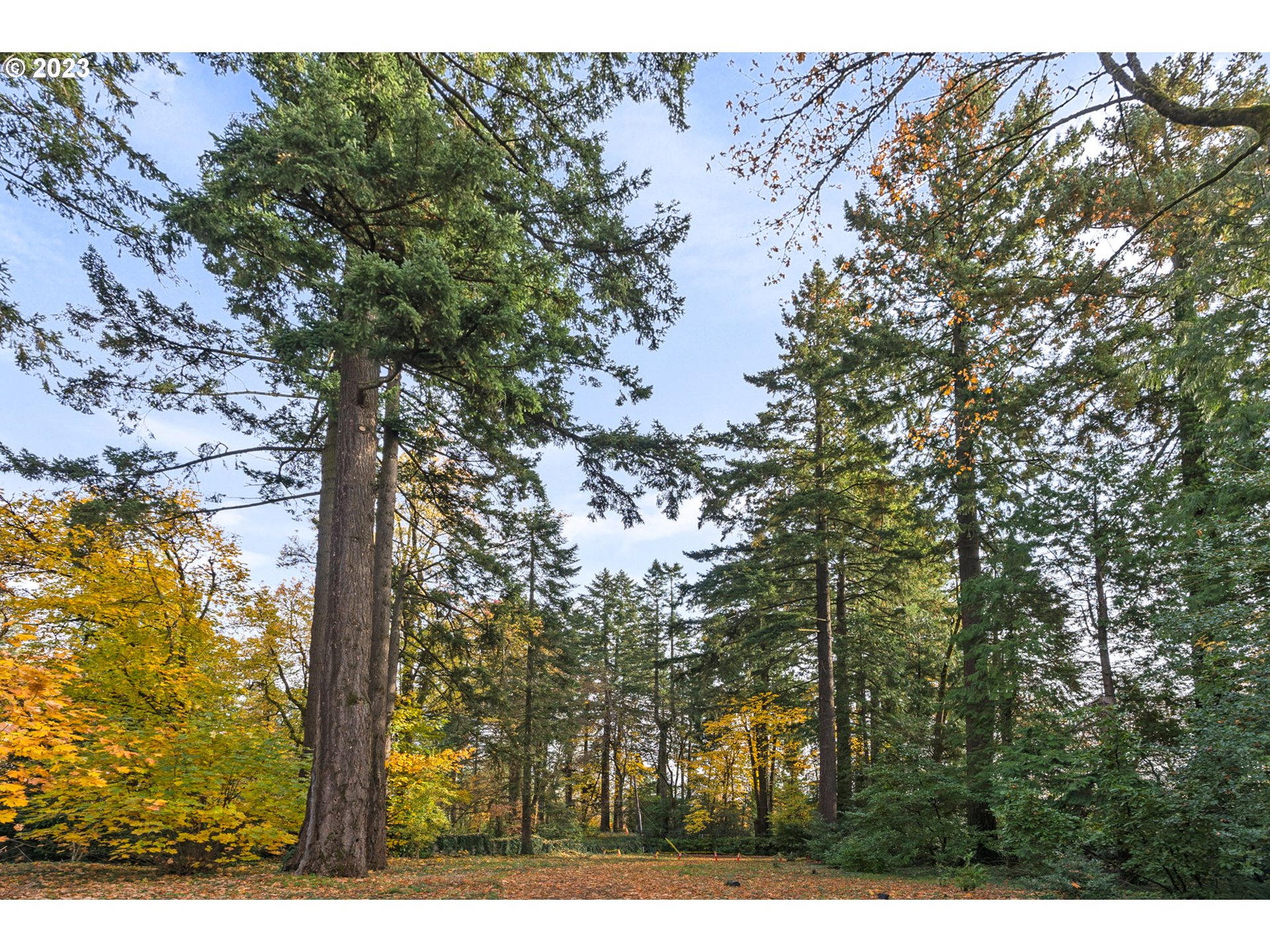 1659 South Greenwood Road, Unit 1 Portland, OR 97219 - Photo 3 of 15 Gallery Image 3