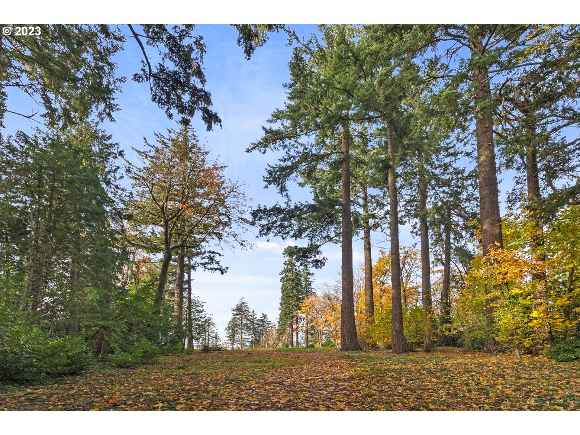 1659 South Greenwood Road, Unit 1 Portland, OR 97219 - Photo 5 of 15 Gallery Image 5